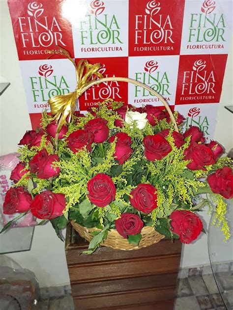 floricultura belem
